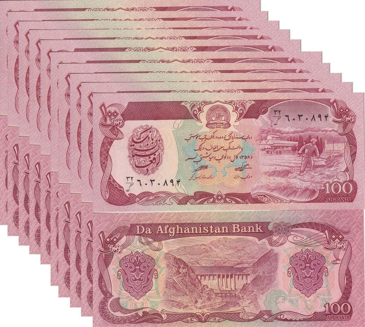 Afghanistan 100 Afghanis 1990 P 58 b UNC LOT 10 PCS