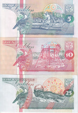 Suriname Set 3 UNC 5 10 25 Gulden Random Years P 136 137 138 ,Toucan, logging
