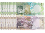 Qatar Set 2 x 10 =20 UNC 1 5 Riyals 2025/2026 New Emblem Western # Wide Security