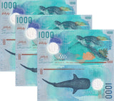 Maldives 1000 Rufiyaa 2015 Polymer P 31 UNC LOT 3 PCS Chelonia mydas Whale shark