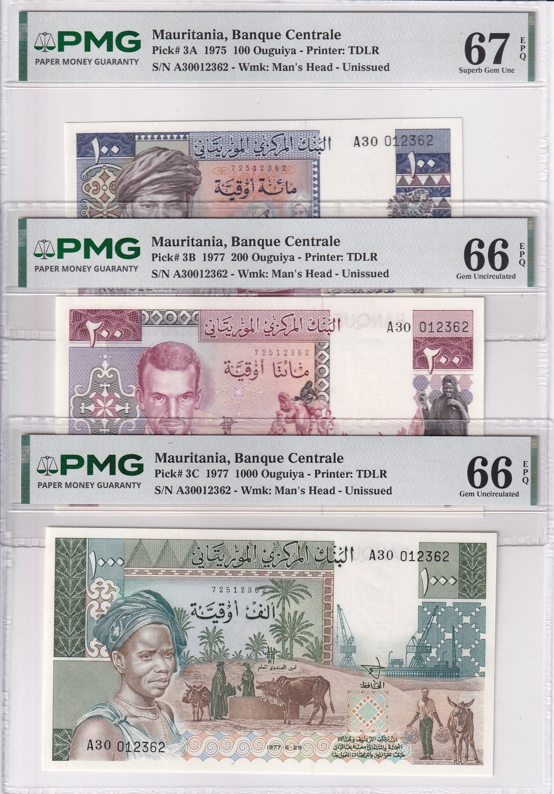 Mauritania SET 3 100 200 1000 Oug 1975-77 P 3A 3B 3C Superb UNC PMG 66 67 EPQ