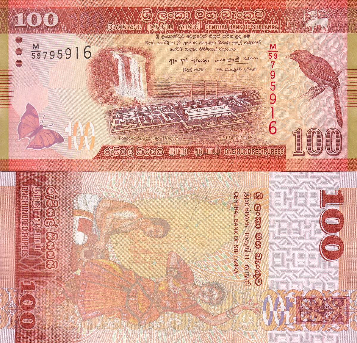 Sri Lanka 100 Rupees 2024 issue 2026 P 125 UNC Dvithva Liya Vela billed babble