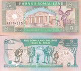 Somaliland 5 Shillings 1994 P 1 UNC,Camel caravan, Naasa Hablood