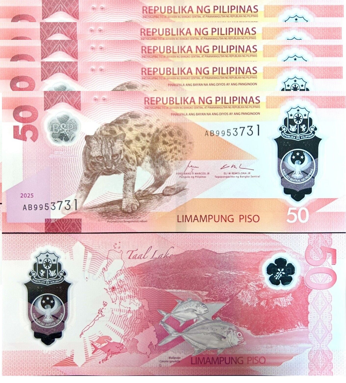 Philippines 50 Piso 2025 Leopard Fish Polymer P 237 LOT 5 UNC