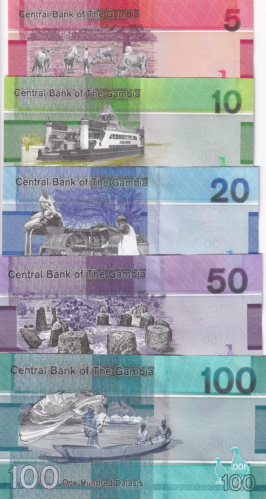 Gambia Set 5 PCS 5 10 20 50 100 Dalasis 2019 P 37 38 39 40 41 UNC