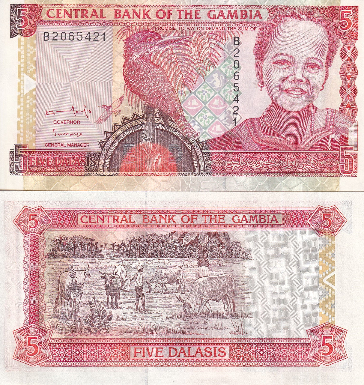 GAMBIA 5 DALASIS ND 1996 P 16 UNC