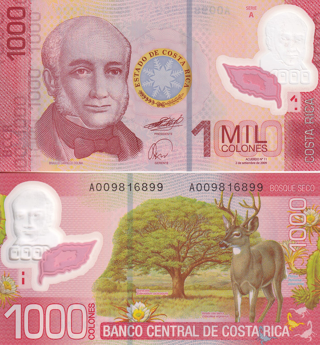 Costa rica 1000 Colones 2009 P 274 Polymer UNC