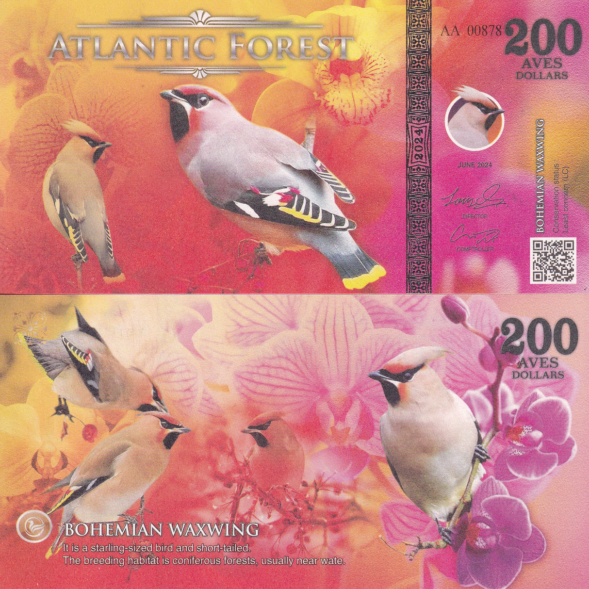 ATLANTIC FOREST 200 AVES DOLLARS BOHEMIAN WAWING 2024 Fantasy