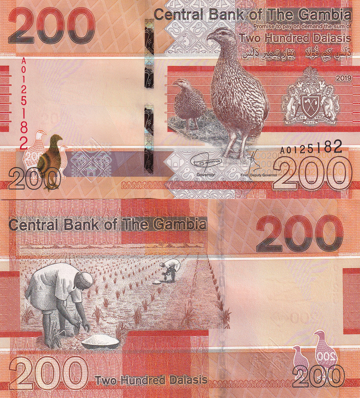 Gambia 200 Dalasis 2019 P 42 UNC