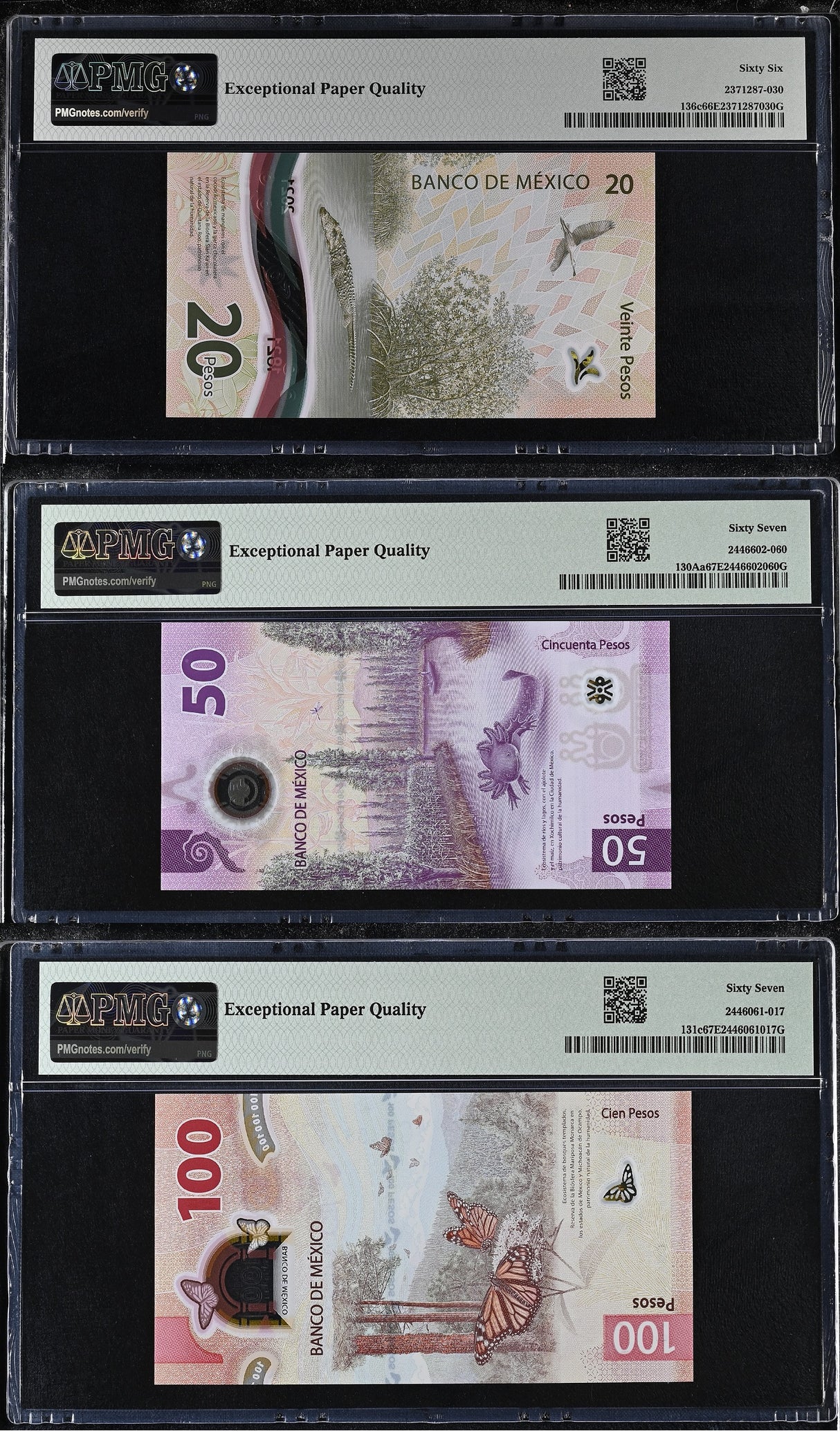 Mexico Set 3; 20 50 100 Pesos 2021-2023 P 130A P 131 P 136 Gem UNC PMG 66 67 EPQ
