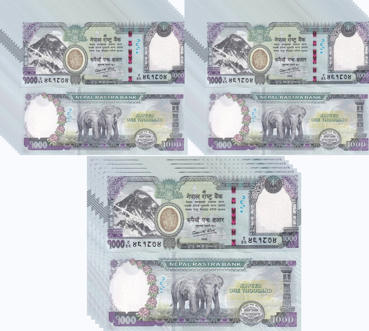 Nepal 1000 Rupees 2025 2026 P 82 new Logo Design Pillar, Elephants LOT 25 UNC 1/4 bundle