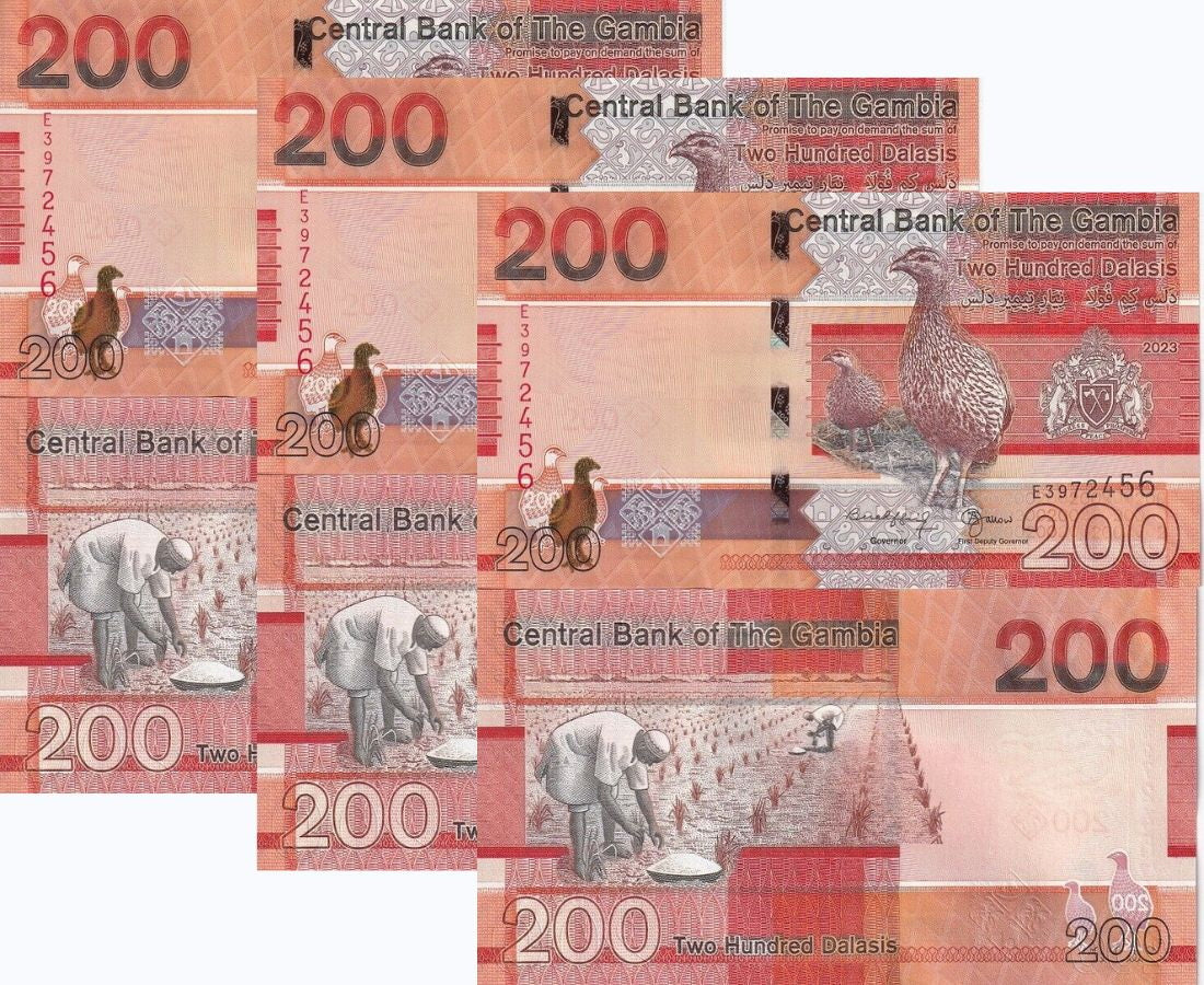 Gambia 200 Dalasis 2023/2024 P 42 NEW Sign LOT 3 UNC