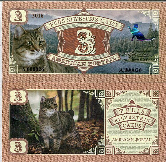 BONA 3 SERIES FELIS SILVESTRIS CAT American Bobtail FANTASY 2016
