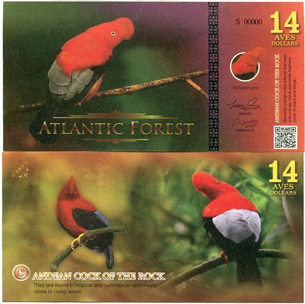 ATLANTIC FOREST 14 AVES DOLLARS BIRDS ANDEAN COCK OF THE ROCK 2016 SPECIMEN