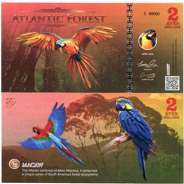 ATLANTIC FOREST 2 AVES DOLLARS MACAW BIRD NEW SPECIMEN 2016