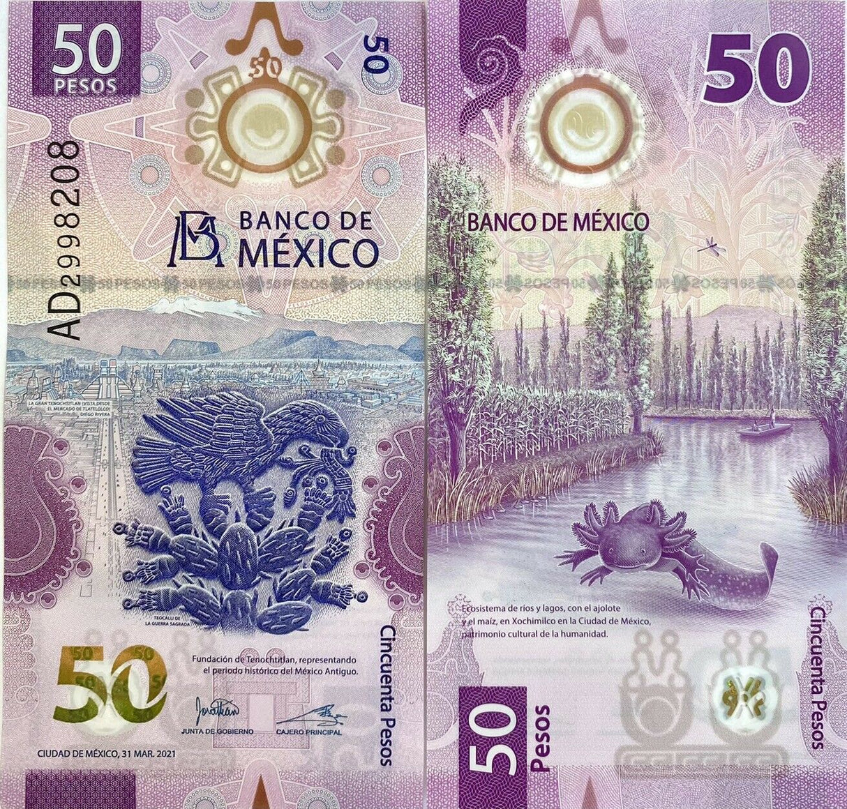 Mexico 50 Pesos 2021 Polymer P NEW Design Axolotl UNC