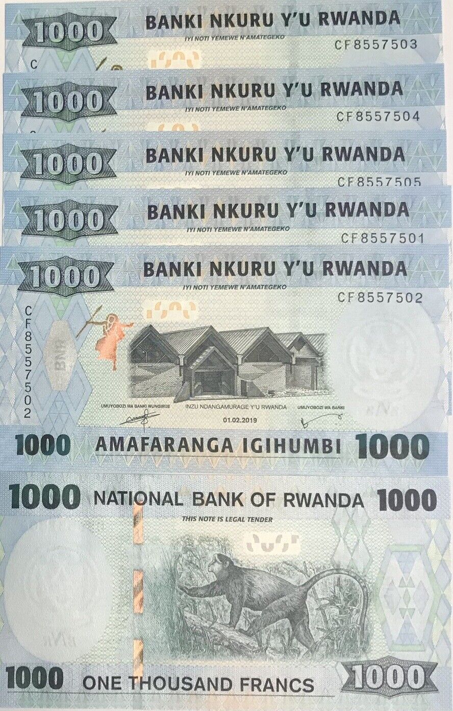 Rwanda 1000 Francs 2019 P 39 b UNC LOT 5 PCS