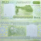 Somalia Set 3; 2000 20000 50000 Shillings 2010 ND 2023 2024 P 43 NEW UNC
