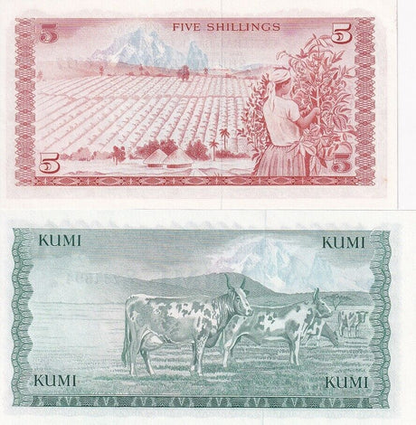 Kenya Set 2 PCS 5 10 Shillings 1978 P 15 16 UNC