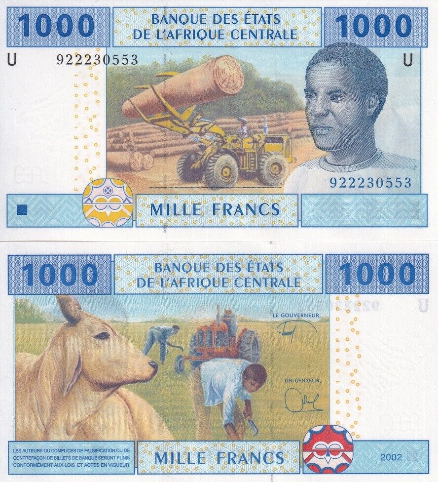 Central African States 1000 Francs Cameroun 1000 Francs 2002 P 207Ue UNC