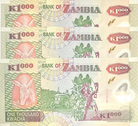 Zambia 1000 Kwacha 2005 P 44 d POLYMER UNC LOT 3 PCS