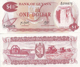 Guyana 1 Dollars 1989 P 21 g UNC
