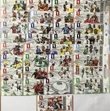 INTERNATIONAL WORLD CUP BANK SET 32 PCS  one for each World Cup Country 2022