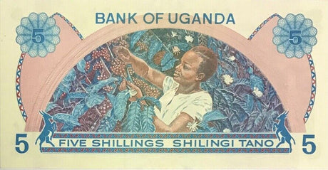 Uganda 5 Shillings ND 1979 P 10 AUnc
