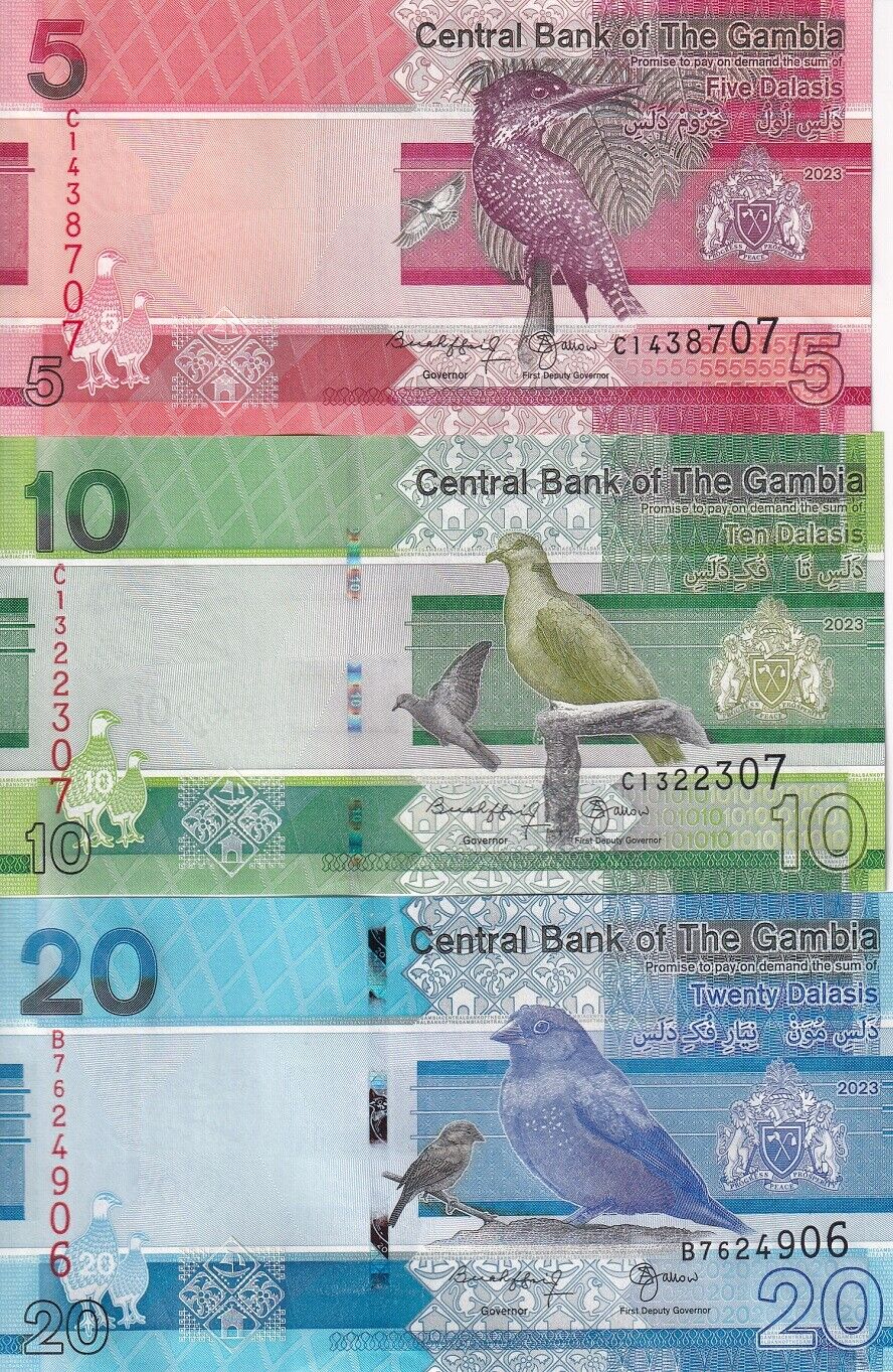 Gambia Set 3 Pcs 5 10 20 Dalasis 2023 / 2024 P 37 38 39 UNC