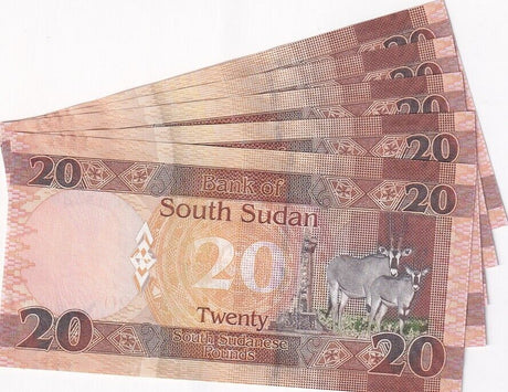 South Sudan 20 Pounds 2016 P 13 b AUnc LOT 5 PCS