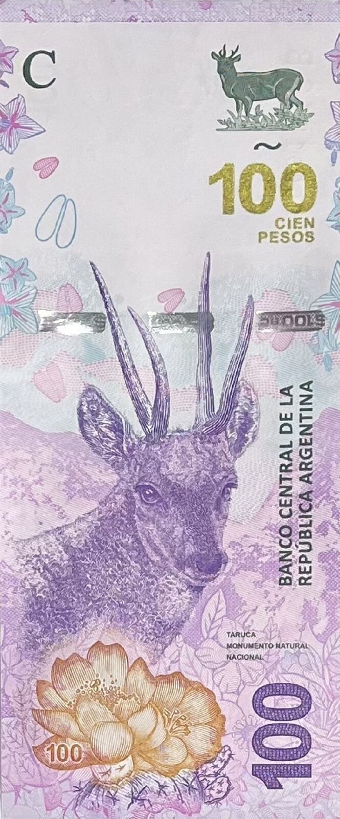 Argentina 100 Pesos 2018 Series B P 363A UNC