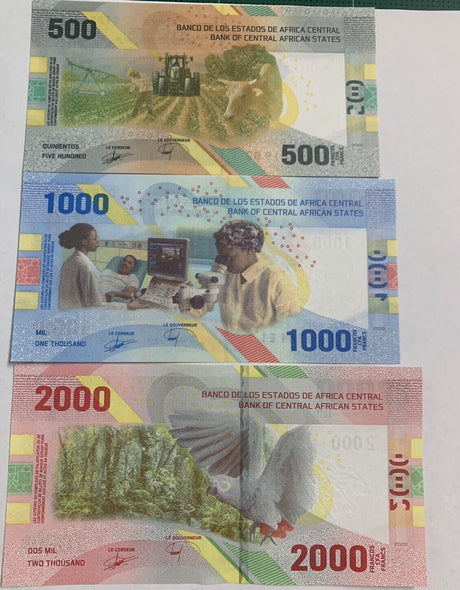 Central African States Set 3 UNC 500 1000 2000 Francs 2020 ND 2022 P 700 701 702