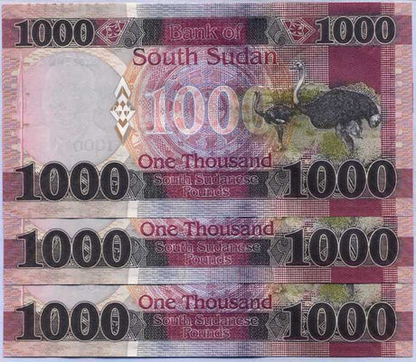 South Sudan 1000 Pound 2020 / 2021 P NEW Dennomination UNC Lot 3 Pcs
