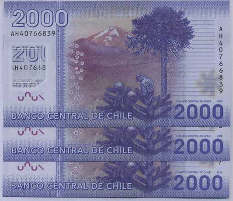 Chile 2000 Pesos 2014 P 162 d UNC Lot 3 PCS