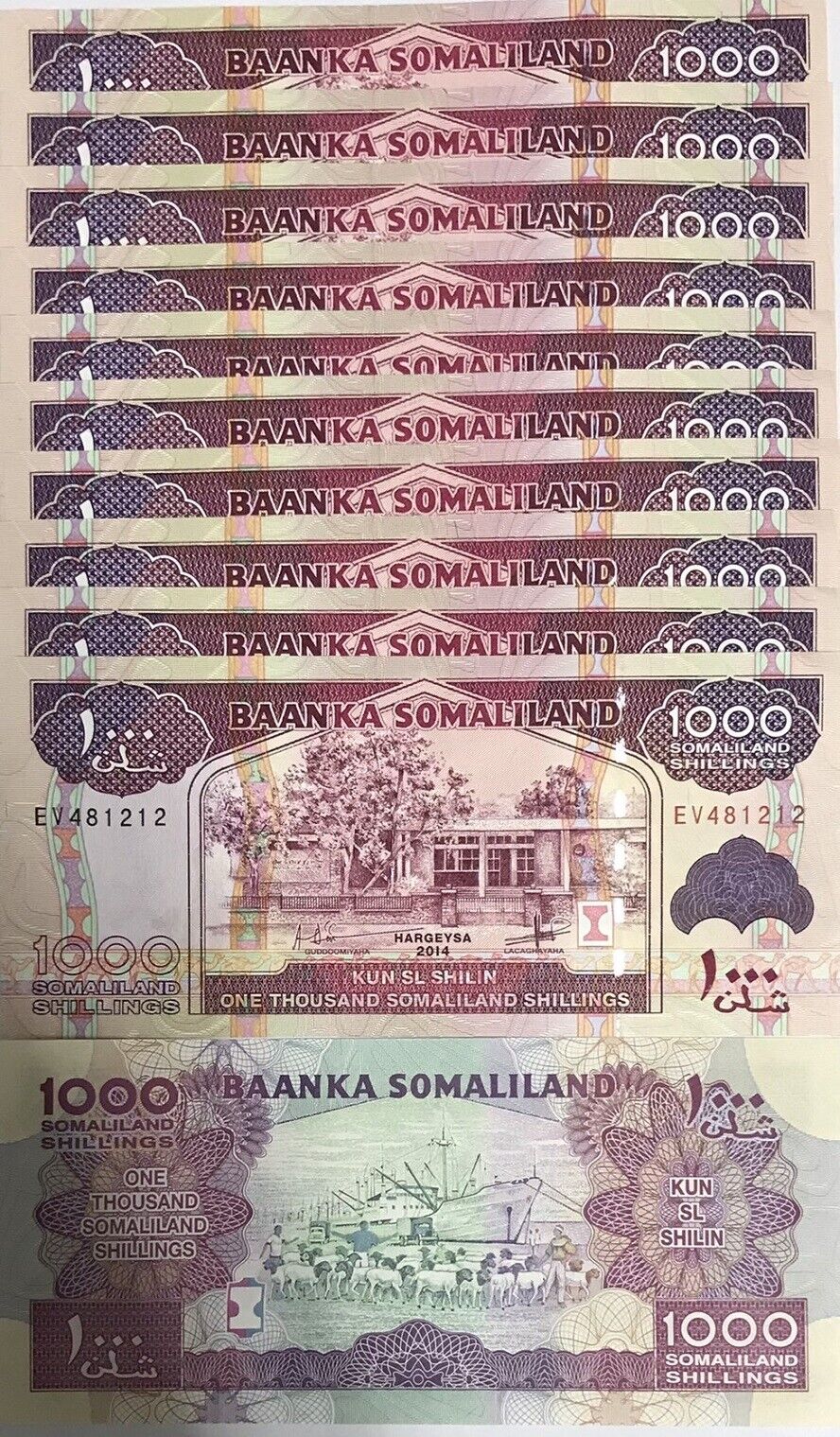 Somaliland 1000 Shillings 2014 P 20 c UNC LOT 10 PCS