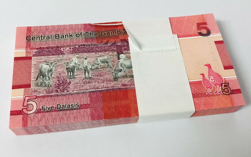 Gambia 5 Dalasis 2019 P 37 UNC LOT 100 PCS 1 Bundle – Noteshobby