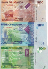 Uganda Set 3 Pcs 1000 2000 5000 Shillings 2019-2021 P 49 P 50 P 51 UNC