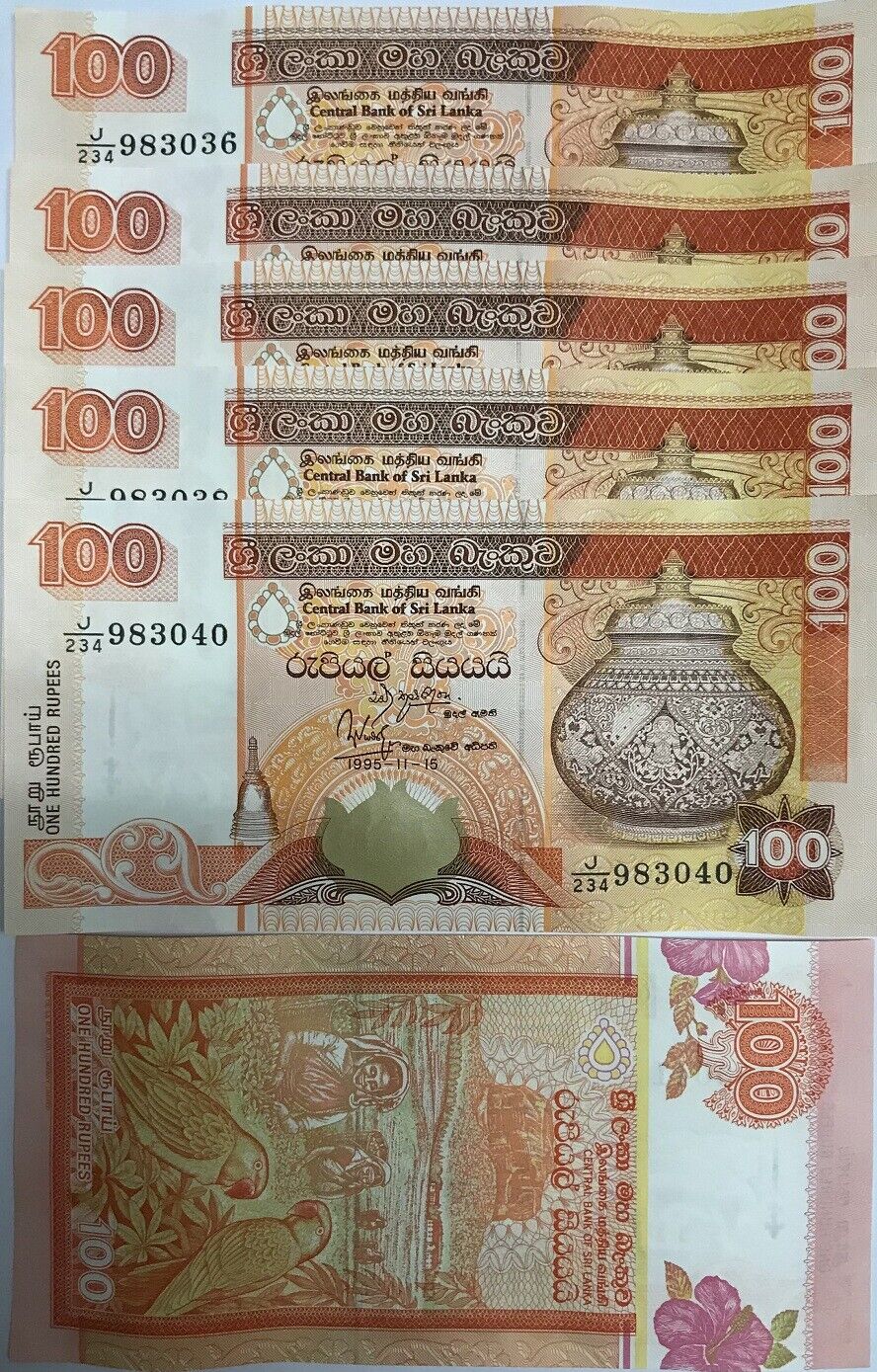 Sri Lanka 100 Rupees 1995 P 111 UNC LOT 5 PCS