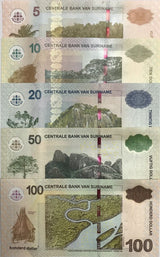 Suriname Set 5 Pcs 5 10 20 50 100 Dollars 2012-2020 P 162 163 164 165 166 UNC