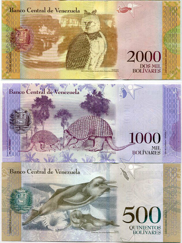 Venezuela Set 3 PCS 500 1000 2000 BOLIVARES RANDOM DATE P 94 95 96 UNC