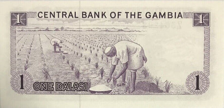 Gambia 1 Dalasi ND (1972-1986) P 4 g UNC