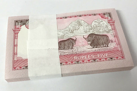 Nepal 5 Rupees ND 2006 P 53 c UNC Lot 25 Pcs 1/4 Bundle